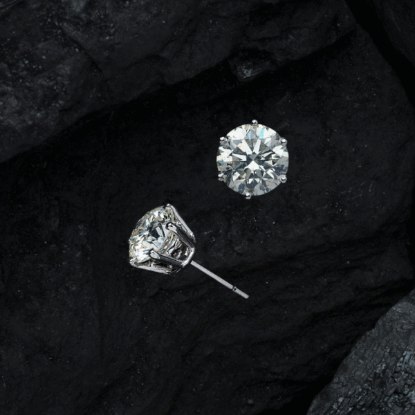 Chic Earrings