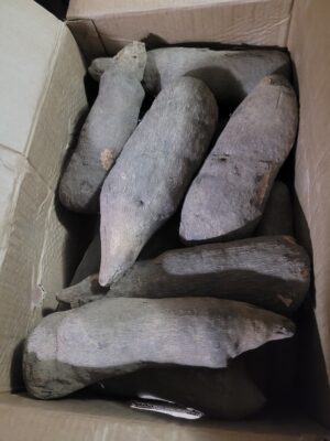 Ghana yam. 
Des ignames du Ghana.